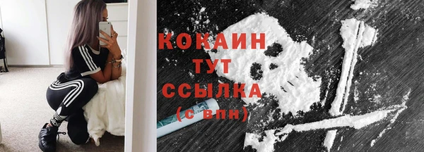 прущая мука Бородино